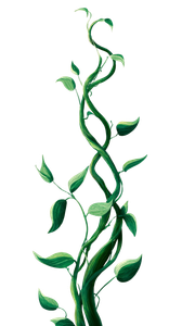 Whimsical Green Vine Vinyl Car Decal Sticker – Waterproof & UV-Resistant 4.8533333333333335"