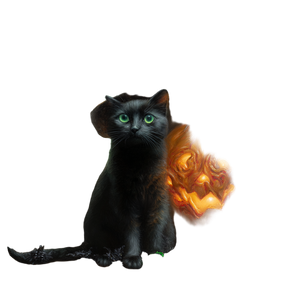 Witch'S Cat V3 Vinyl Car Decal Sticker – Waterproof & UV-Resistant 3.4133333333333336"