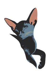 Sleeping Kitten Art Vinyl Car Decal Sticker – Waterproof & UV-Resistant 8.96"