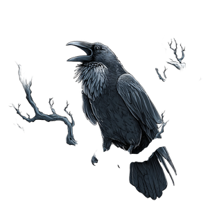 Cawing Black Raven Vinyl Car Decal Sticker – Waterproof & UV-Resistant 3.4133333333333336"