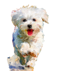 Happy Maltese Puppy V5 Vinyl Car Decal Sticker – Waterproof & UV-Resistant 4.0"