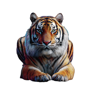 Tiger At Graffiti Vinyl Car Decal Sticker – Waterproof & UV-Resistant 3.4133333333333336"
