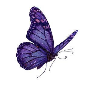 Purple Glitter Butterfly V2 Vinyl Car Decal Sticker – Waterproof & UV-Resistant 3.4133333333333336"