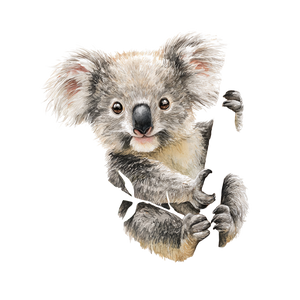 Happy Koala Hugging Vinyl Car Decal Sticker – Waterproof & UV-Resistant 6.826666666666667"