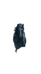 Majestic Horse Herd V2 Vinyl Car Decal Sticker – Waterproof & UV-Resistant 4.8533333333333335"