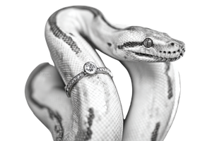 Diamond Boa Constrictor V3 Vinyl Car Decal Sticker – Waterproof & UV-Resistant 5.97333333333333