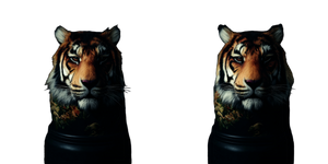 Chinese Tiger V2 Vinyl Car Decal Sticker – Waterproof & UV-Resistant 5.12"