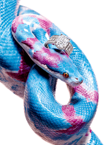 Glamorous Diamond Boa Vinyl Car Decal Sticker – Waterproof & UV-Resistant 8.213333333333333"