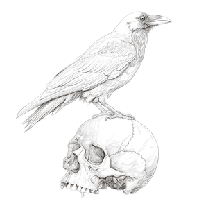 Crow On Skull V6 Vinyl Car Decal Sticker – Waterproof & UV-Resistant 3.4133333333333336"