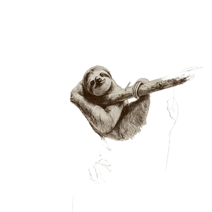 Golden Sloth Sketch Vinyl Car Decal Sticker – Waterproof & UV-Resistant 3.4133333333333336" Golden Sloth Sketch Vinyl Car Decal Sticker – Waterproof & UV-Resistant 3.4133333333333336"