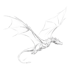 Flying Dragon Outline Vinyl Car Decal Sticker – Waterproof & UV-Resistant 6.826666666666667"