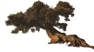 Primordial Tree V2 Vinyl Car Decal Sticker – Waterproof & UV-Resistant 5.4