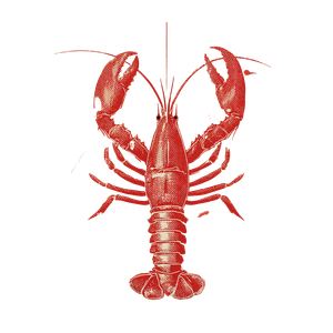 Vintage Red Lobster V3 Vinyl Car Decal Sticker – Waterproof & UV-Resistant 3.4133333333333336"