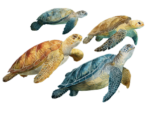 Swimming Turtles Watercolor Vinyl Car Decal Sticker – Waterproof & UV-Resistant 6.1866666666666665"