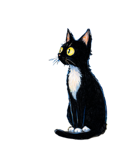 Starry Night Cat V22 Vinyl Car Decal Sticker – Waterproof & UV-Resistant 4.0"