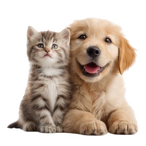 Cute Puppy Kitten V4 Vinyl Car Decal Sticker – Waterproof & UV-Resistant 3.4133333333333336"