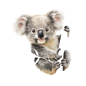 Happy Koala Hugging V2 Vinyl Car Decal Sticker – Waterproof & UV-Resistant 6.826666666666667"