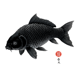 Big Carp Silhouette Vinyl Car Decal Sticker – Waterproof & UV-Resistant 3.4133333333333336"
