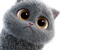 Cute Gray Cat V7 Vinyl Car Decal Sticker – Waterproof & UV-Resistant 2.72"