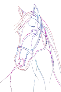 Neon Horse Woman V2 Vinyl Car Decal Sticker – Waterproof & UV-Resistant 8.96"