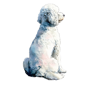 White Poodle Silhouette Vinyl Car Decal Sticker – Waterproof & UV-Resistant 6.826666666666667"
