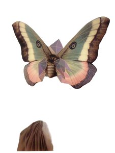 Ethereal Moth Deity Vinyl Car Decal Sticker – Waterproof & UV-Resistant 4.1066666666666665"