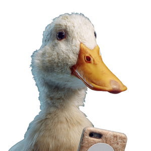 Duck With Phone V2 Vinyl Car Decal Sticker – Waterproof & UV-Resistant 3.4133333333333336"