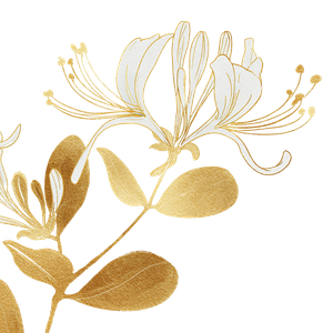 Golden Honeysuckle Vinyl Car Decal Sticker – Waterproof & UV-Resistant 3.4133333333333336"