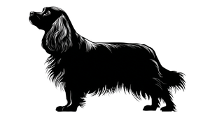 King Charles Spaniel V2 Vinyl Car Decal Sticker – Waterproof & UV-Resistant 2.72"