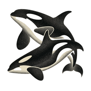 Linocut Orcas V2 Vinyl Car Decal Sticker – Waterproof & UV-Resistant 3.4133333333333336"
