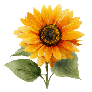 Sunflower Watercolor V4 Vinyl Car Decal Sticker – Waterproof & UV-Resistant 3.4133333333333336"