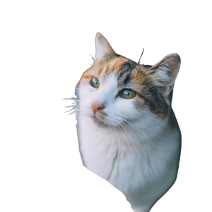 Stray Calico Cat V2 Vinyl Car Decal Sticker – Waterproof & UV-Resistant 3.4133333333333336"