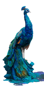 Diamond Peacock Vinyl Car Decal Sticker – Waterproof & UV-Resistant 5.12"