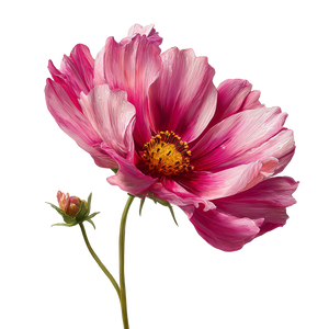 Pink Cosmos Flower V3 Vinyl Car Decal Sticker – Waterproof & UV-Resistant 3.4133333333333336"