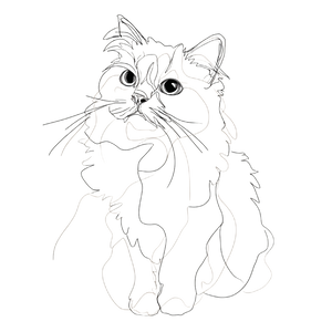 Rag Doll Cat V2 Vinyl Car Decal Sticker – Waterproof & UV-Resistant 6.826666666666667"