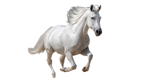 Galloping White Horse V11 Vinyl Car Decal Sticker – Waterproof & UV-Resistant 5.4