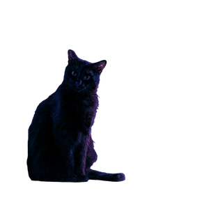 Smiling Lavender Cat Vinyl Car Decal Sticker – Waterproof & UV-Resistant 6.826666666666667"