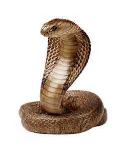 African King Cobra Vinyl Car Decal Sticker – Waterproof & UV-Resistant 3.946666666666666