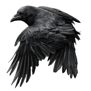 Dark Realistic Crow Vinyl Car Decal Sticker – Waterproof & UV-Resistant 3.4133333333333336"