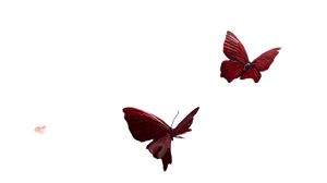Red Butterfly Dream Vinyl Car Decal Sticker – Waterproof & UV-Resistant 2.72"