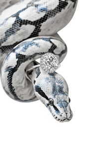 Diamond-Boa Constrictor V2 Vinyl Car Decal Sticker – Waterproof & UV-Resistant 8.213333333333333"