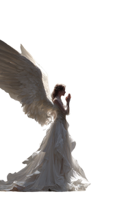 Majestic Angel Devotion V2 Vinyl Car Decal Sticker – Waterproof & UV-Resistant 9.706666666666667"