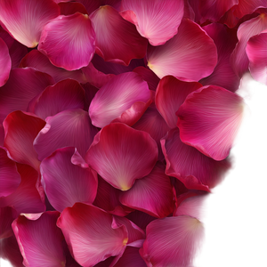 Rose Petals V3 Vinyl Car Decal Sticker – Waterproof & UV-Resistant 3.4133333333333336"