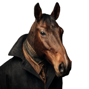 Horse In Coat V2 Vinyl Car Decal Sticker – Waterproof & UV-Resistant 3.4133333333333336"