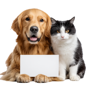 Golden Retriever And Kitty Vinyl Car Decal Sticker – Waterproof & UV-Resistant 6.826666666666667"