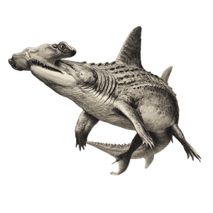 Hybrid Shark Creature V2 Vinyl Car Decal Sticker – Waterproof & UV-Resistant 3.4133333333333336"