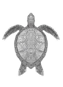 Sea Turtle Mandala Vinyl Car Decal Sticker – Waterproof & UV-Resistant 4.266666666666667"