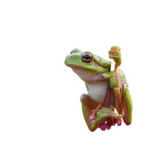 Treefrog Reaching Vinyl Car Decal Sticker – Waterproof & UV-Resistant 3.4133333333333336"