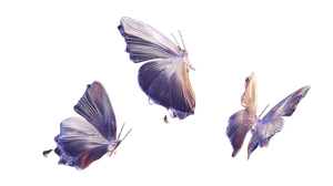 Liquid Glass Butterflies Vinyl Car Decal Sticker – Waterproof & UV-Resistant 5.4