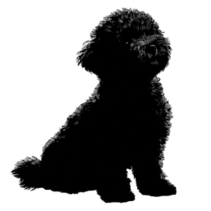 Bichon Frise Silhouette V2 Vinyl Car Decal Sticker – Waterproof & UV-Resistant 3.4133333333333336"